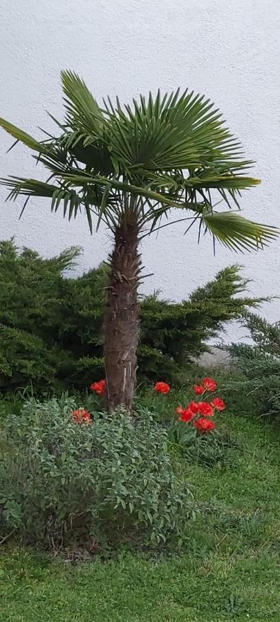 Bed and Breakfast Les Eygletieres Bourriot-Bergonce Экстерьер фото