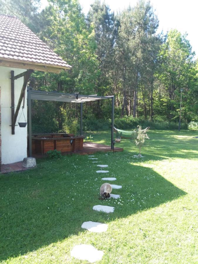 Bed and Breakfast Les Eygletieres Bourriot-Bergonce Экстерьер фото